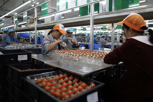 全球潮玩九成 東莞造 代工廠轉型做新品牌