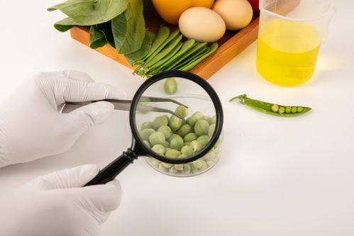 豌豆食品安全農業科技食品培育攝影圖 插畫 下載至來源處