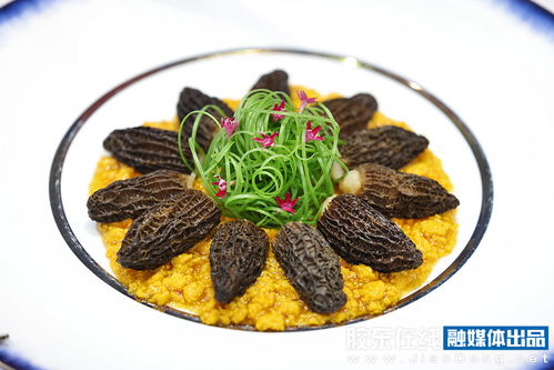 圖集丨第六屆海參產(chǎn)業(yè)發(fā)展大會暨2024世界海參產(chǎn)業(yè) 煙臺 博覽會